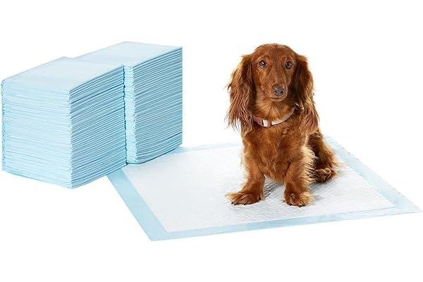 Disposable Dog Training Pads - Amazon Basics Dog and Puppy Pee Pads with Leak-Proof Quick-Dry Design for Potty Training, Standard Absorbency, Regular Size, 22 x 22 Inches, Pack of 100, Blue & White