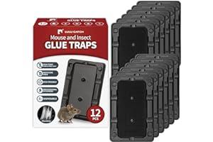 Pest Control Traps - LULUCATCH Mouse & Insect Traps 12 Pack, Heavier Sticky Traps with Non-Toxic Glue for Small Mice & Insects. Sticky Mouse Traps Indoor, Easy to Set, Safe to Children & Pets